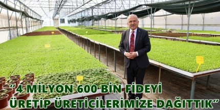 400 Bin Kışlık Sebze Fidesi Dağıtıma Hazır